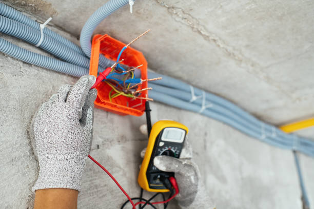 Best Electrical Rewiring Services  in Roseland, FL