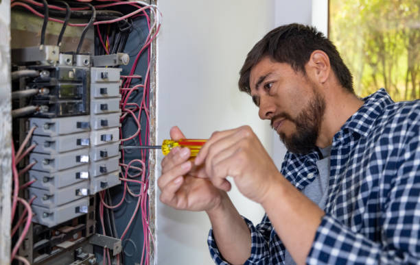 Best Electrical Troubleshooting Services  in Roseland, FL